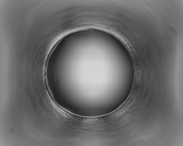 X0000112371535200908131506