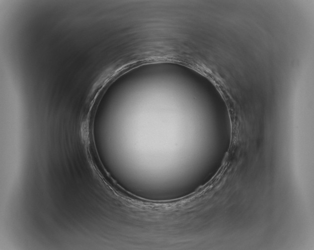 X0000112370002200908201511