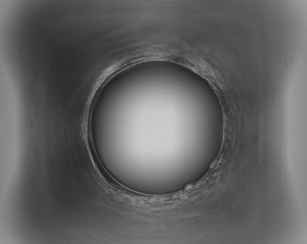 X0000112370003200908201511