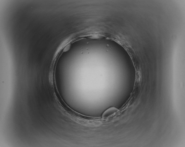 X0000112370004200908201511