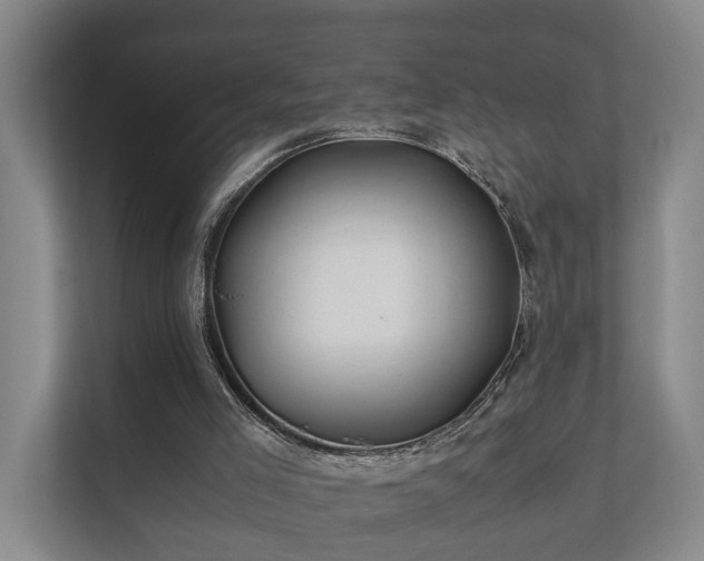 X0000112370005200908201511