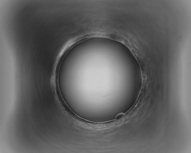 X0000112370006200908201511