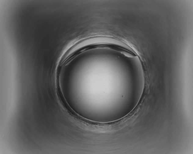 X0000112370008200908201511