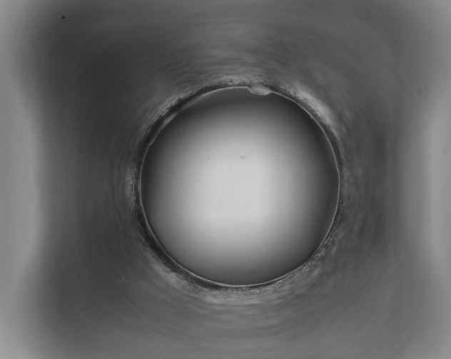 X0000112370009200908201511