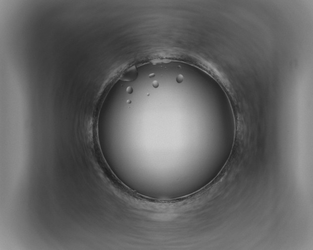 X0000112370010200908201511