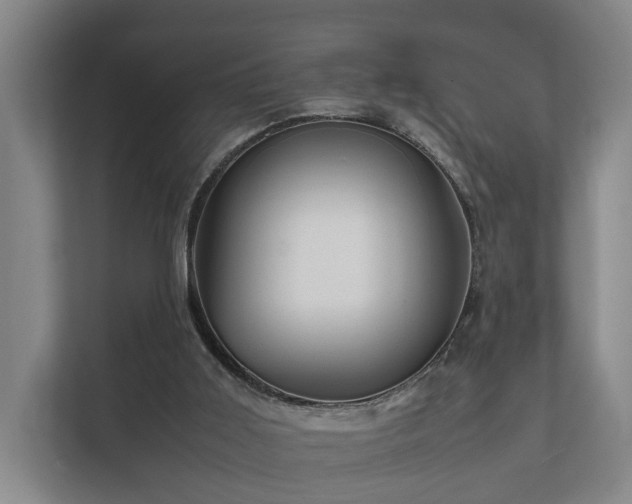 X0000112370011200908201511