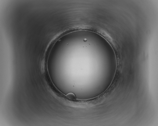 X0000112370012200908201511