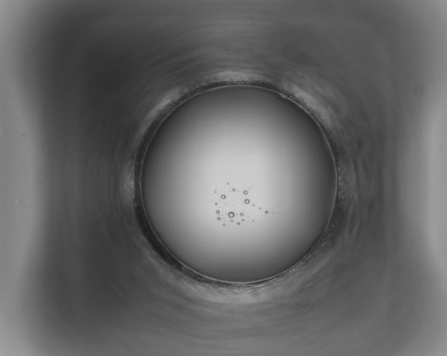 X0000112370015200908201511