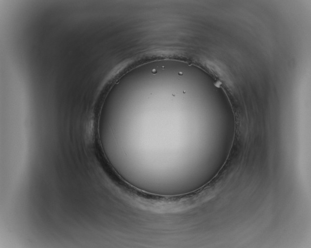 X0000112370016200908201511