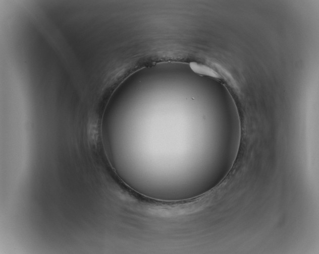 X0000112370017200908201511