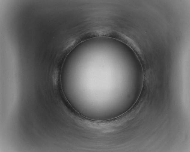 X0000112370018200908201511