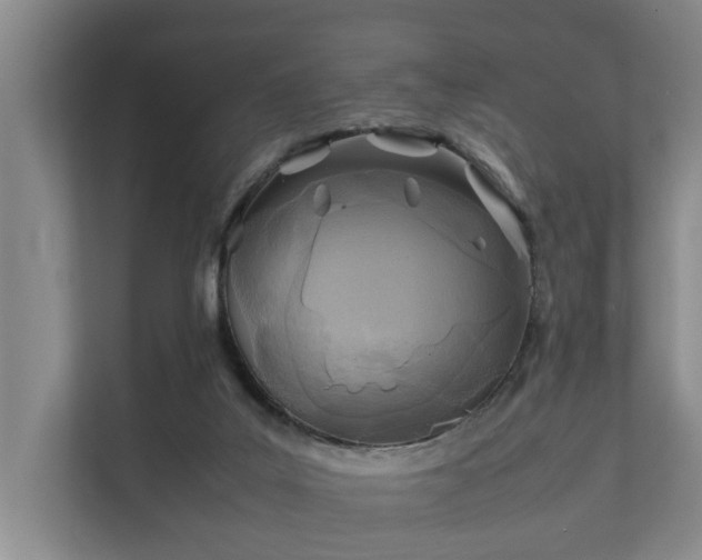 X0000112370019200908201511