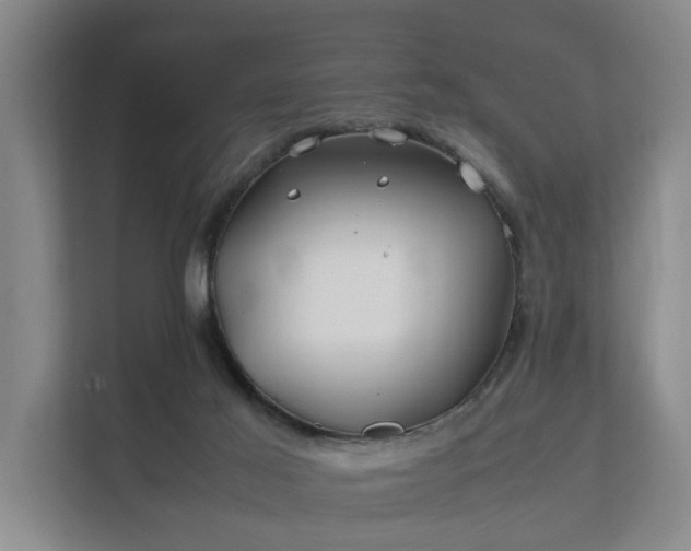 X0000112370021200908201511