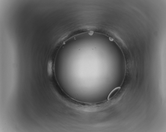 X0000112370024200908201511