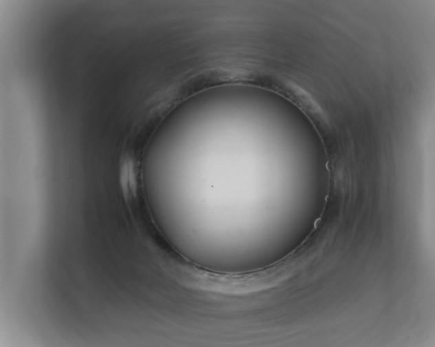 X0000112370026200908201511