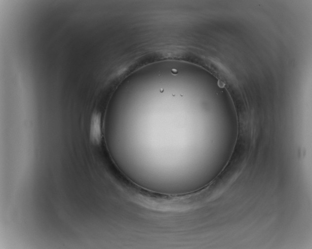 X0000112370028200908201511