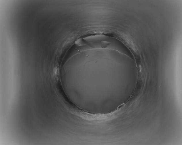 X0000112370031200908201511