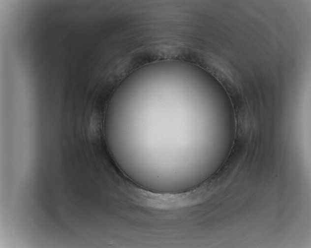 X0000112370034200908201511