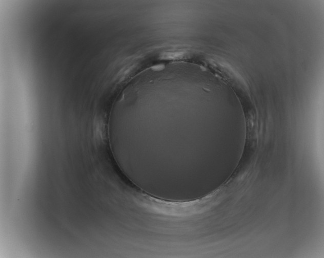 X0000112370035200908201511