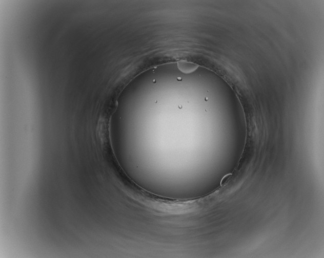 X0000112370036200908201511