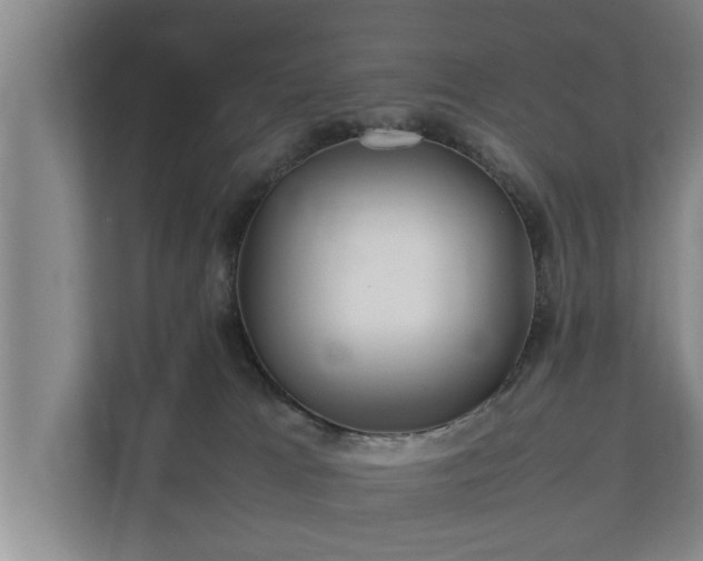 X0000112370037200908201511