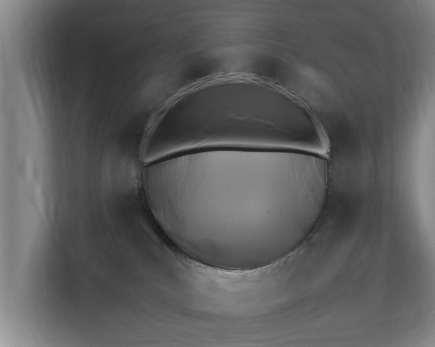 X0000112370039200908201511