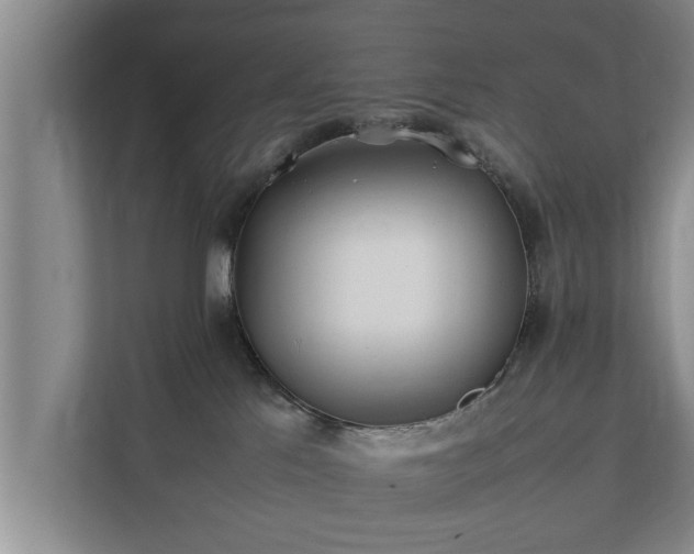 X0000112370041200908201511