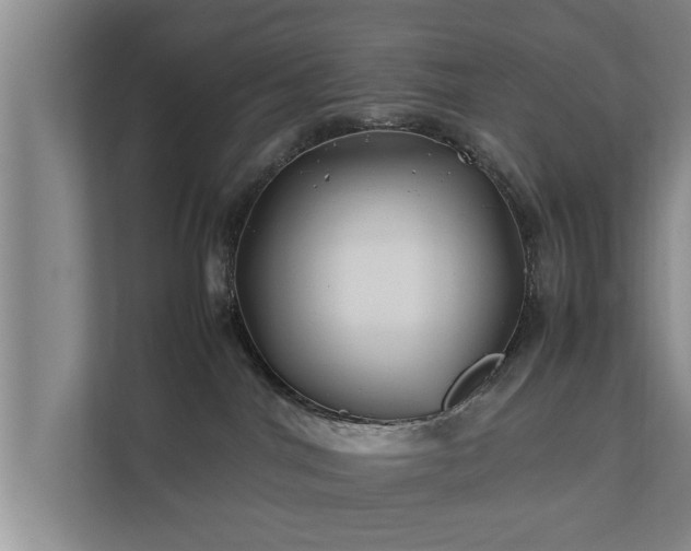 X0000112370044200908201511