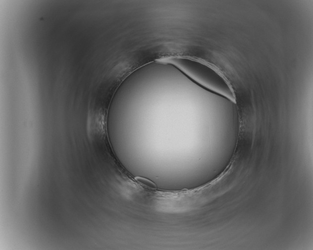 X0000112370045200908201511