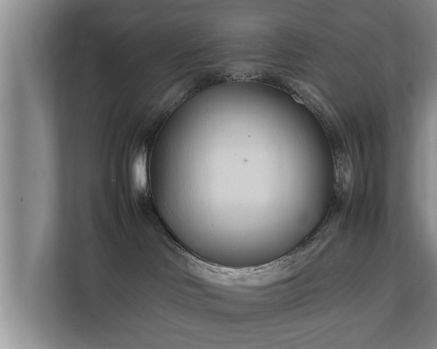 X0000112370046200908201511