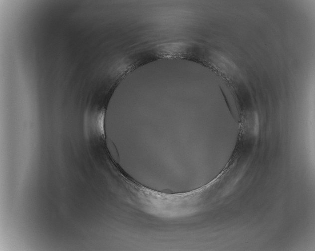 X0000112370047200908201511