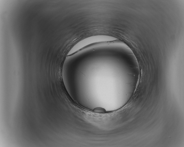 X0000112370048200908201511