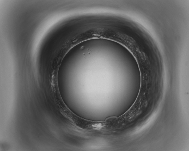 X0000112370050200908201510