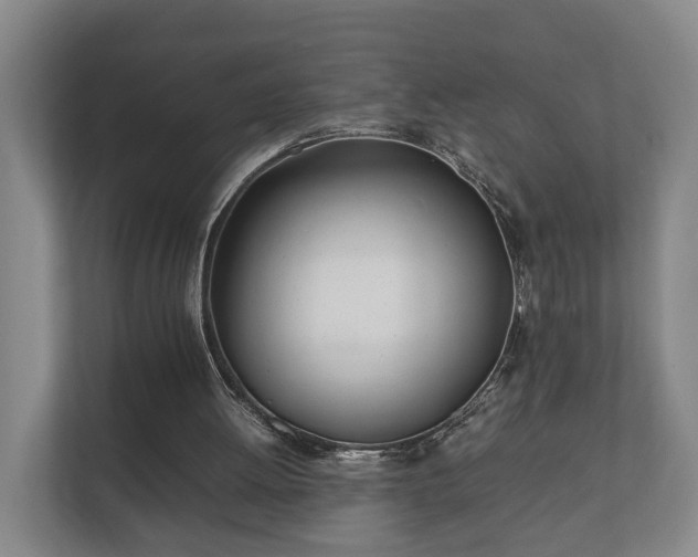 X0000112370052200908201510