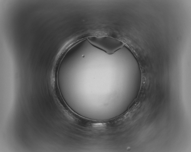 X0000112370053200908201510