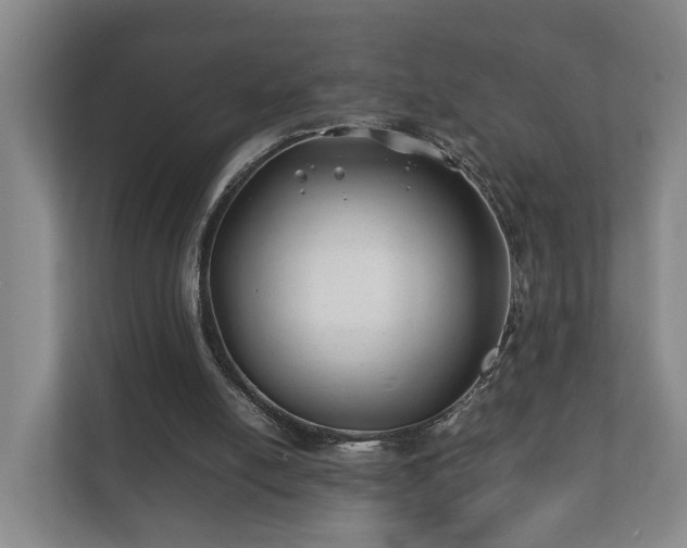 X0000112370054200908201510