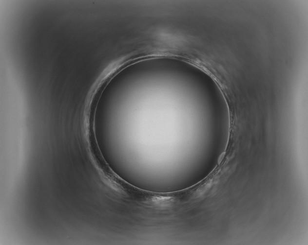 X0000112370055200908201510