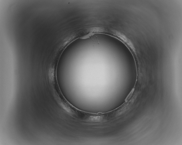 X0000112370057200908201510