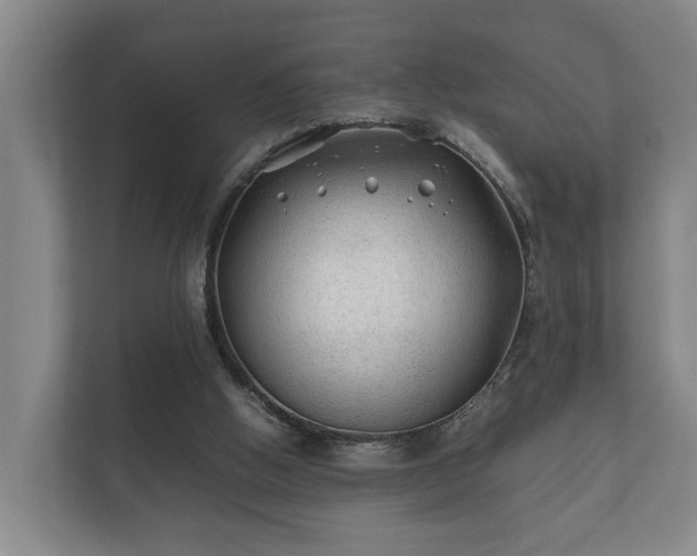 X0000112370058200908201510