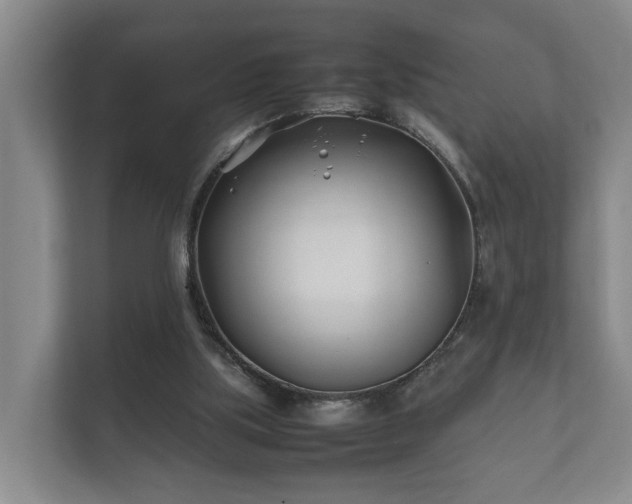 X0000112370059200908201510