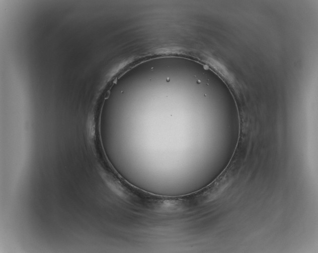 X0000112370060200908201510