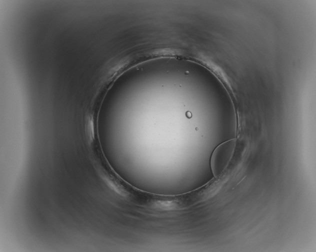 X0000112370061200908201510