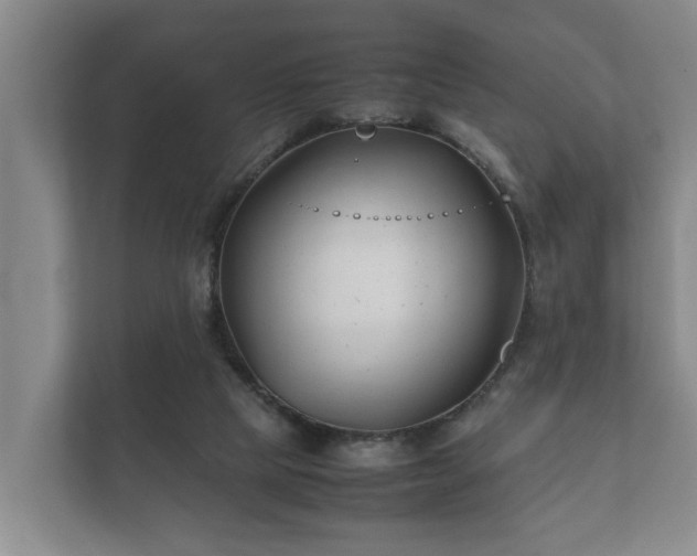 X0000112370065200908201510