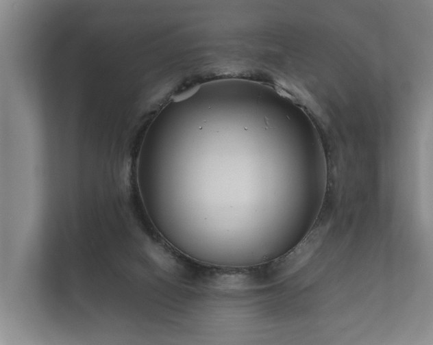 X0000112370066200908201510