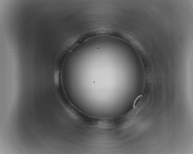 X0000112370070200908201510