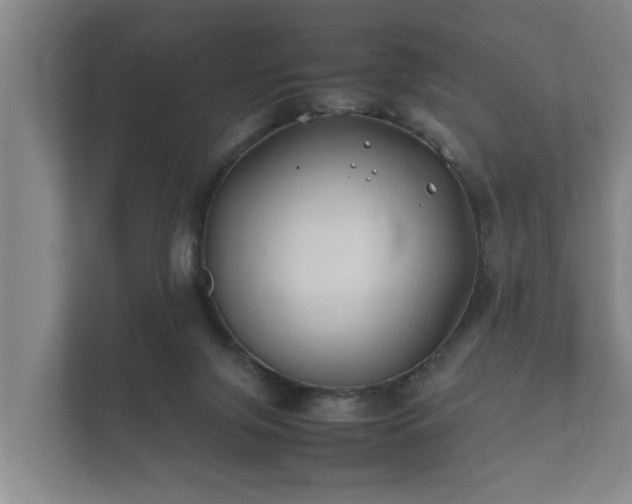 X0000112370071200908201510