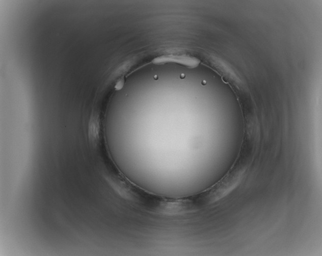 X0000112370072200908201510