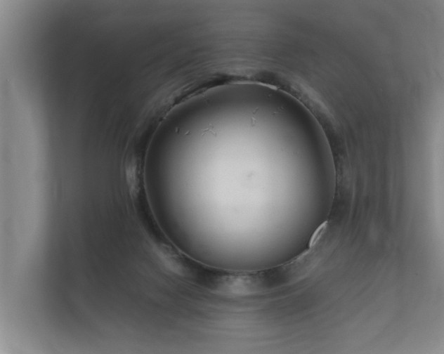 X0000112370074200908201510