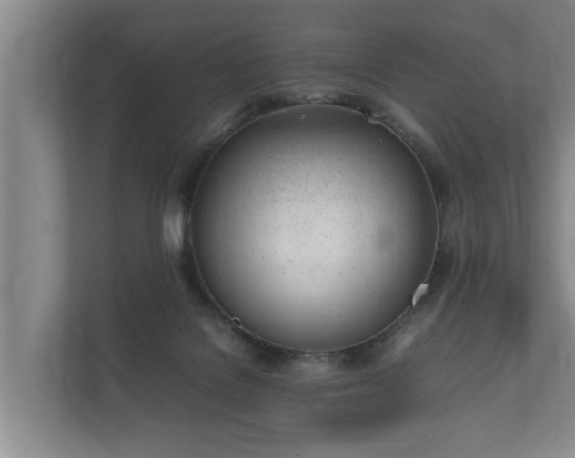 X0000112370076200908201510