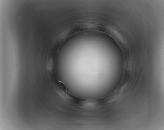 X0000112370077200908201510